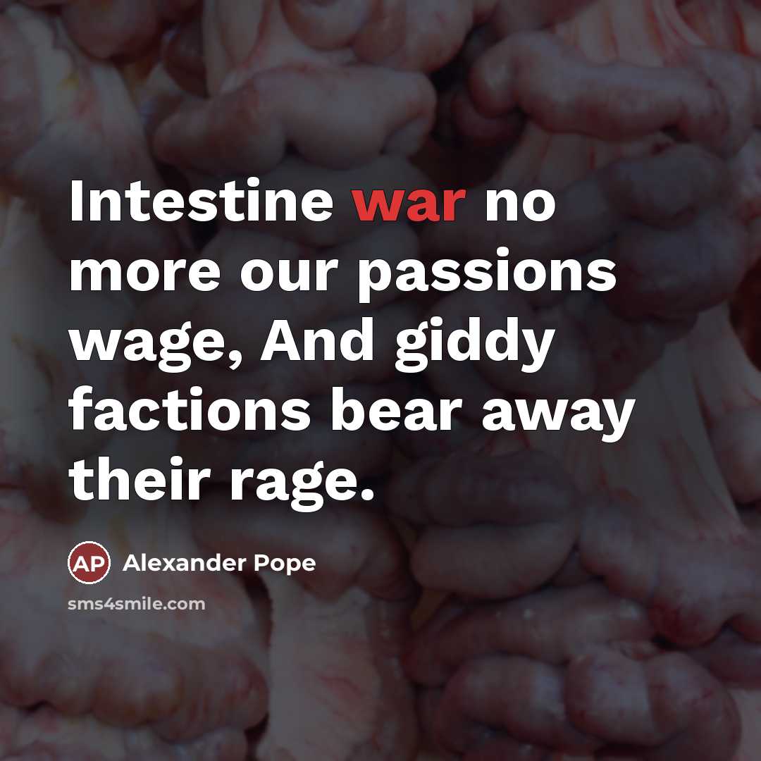 “Intestine war no more our passions wage, And giddy factions…” quote by Alexander Pope