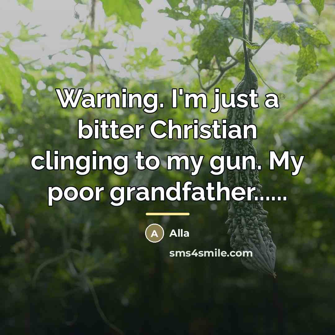“Warning. I'm just a bitter Christian clinging to my gun.…” quote by Alla