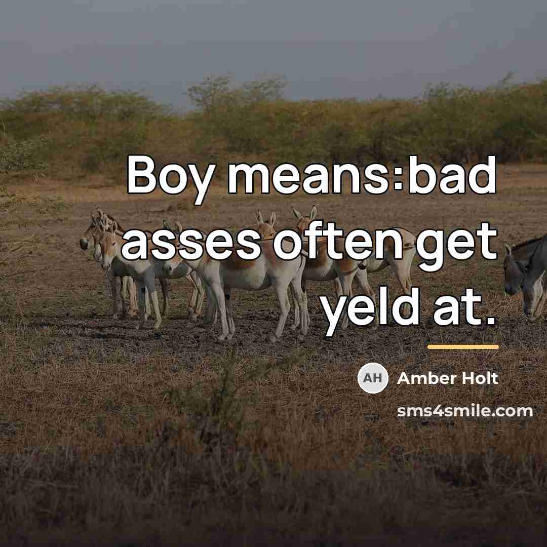 “Boy means:bad asses often get yeld at.…” quote by Amber Holt