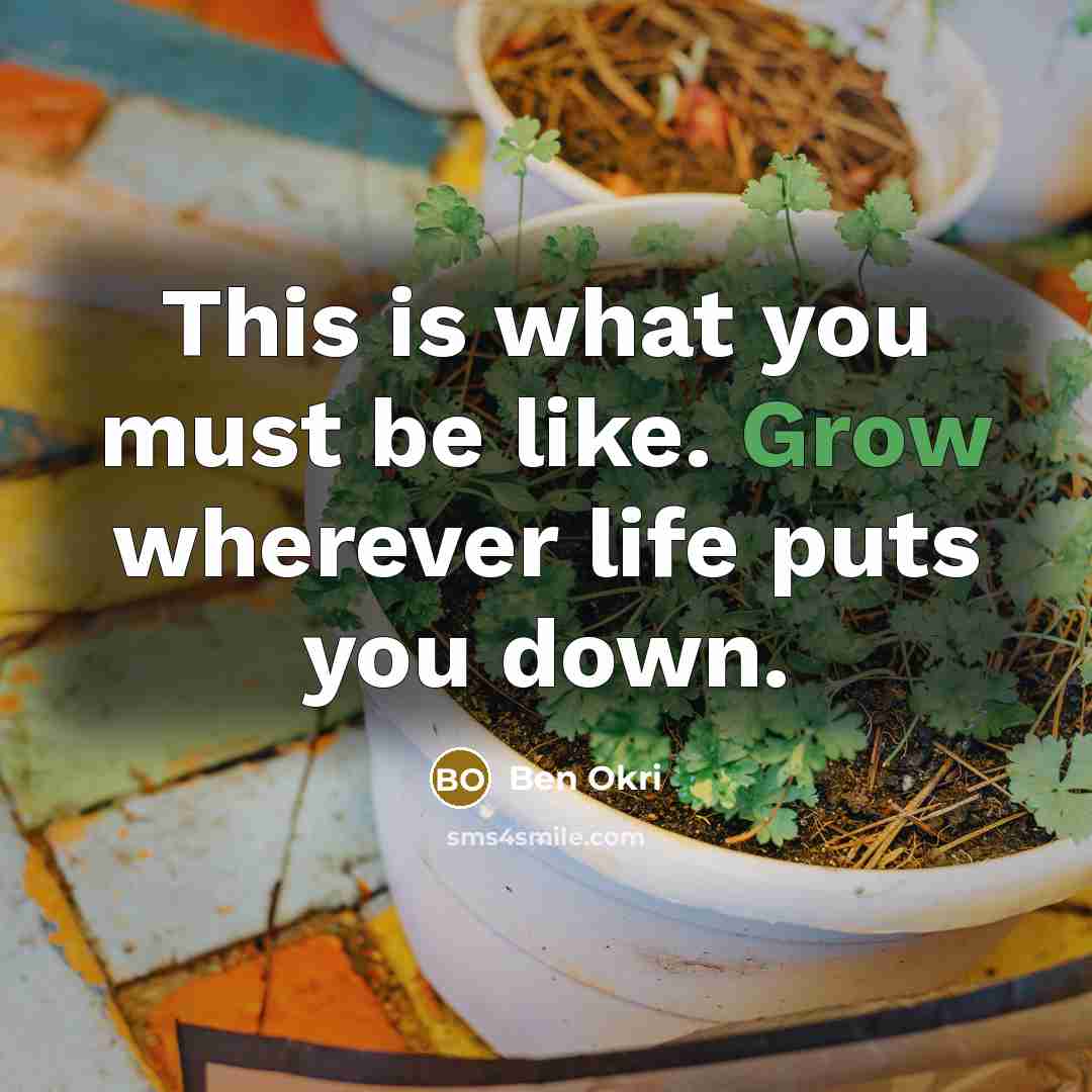 “This is what you must be like. Grow wherever life puts you down.” quote by Ben Okri