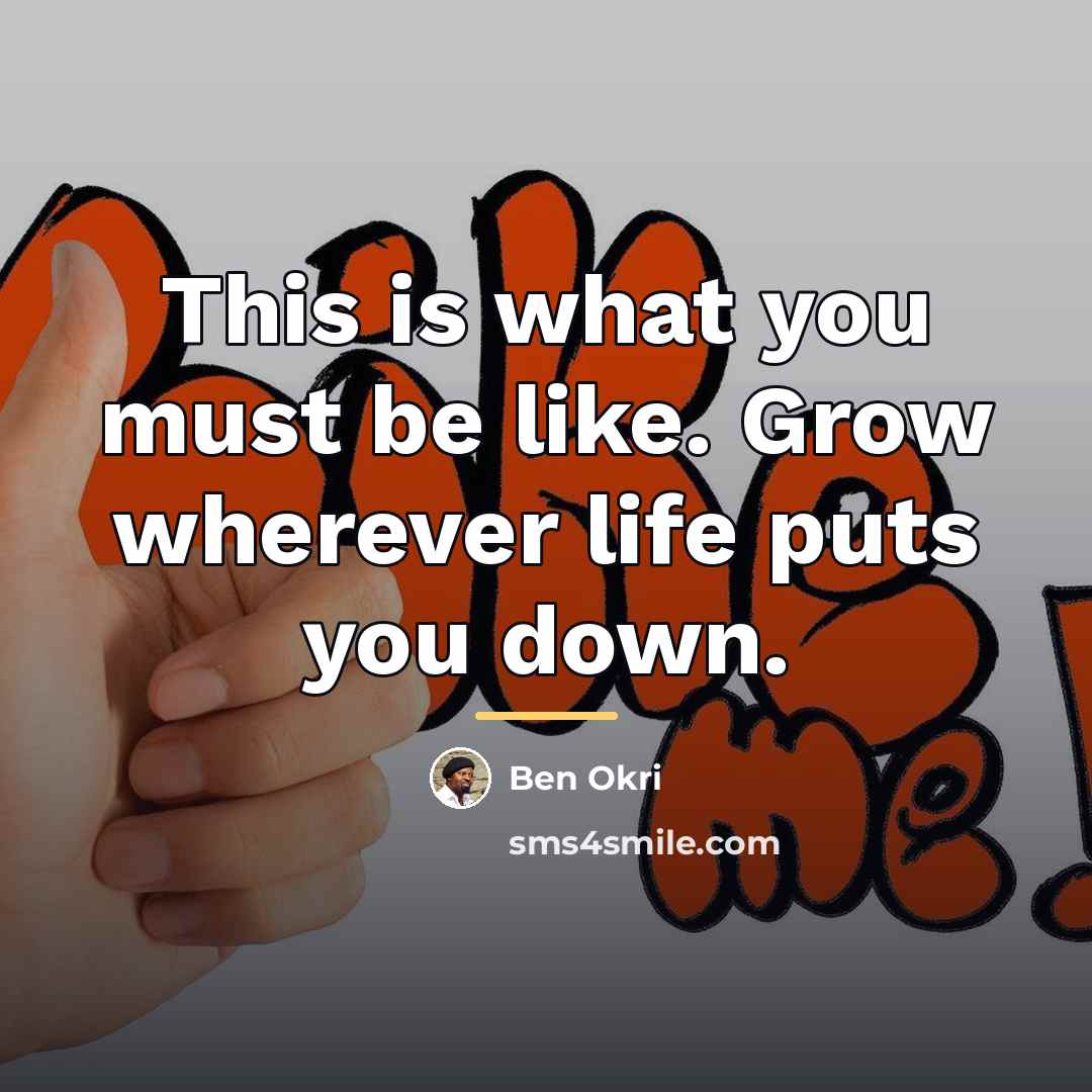 “This is what you must be like. Grow wherever life…” quote by Ben Okri