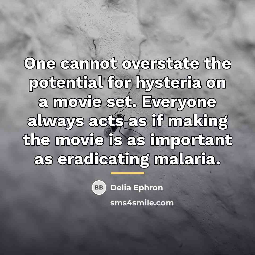 “One cannot overstate the potential for hysteria on a movie…” quote by Delia Ephron
