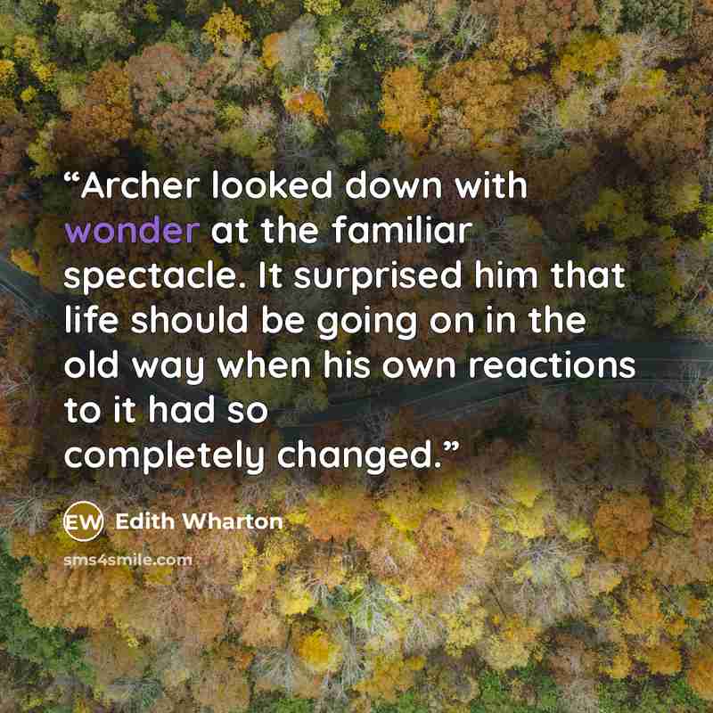 “Archer looked down with wonder at the familiar spectacle. It surprised him that life should be going on in the old way when his own reactions to it had so completely changed.” quote by Edith Wharton