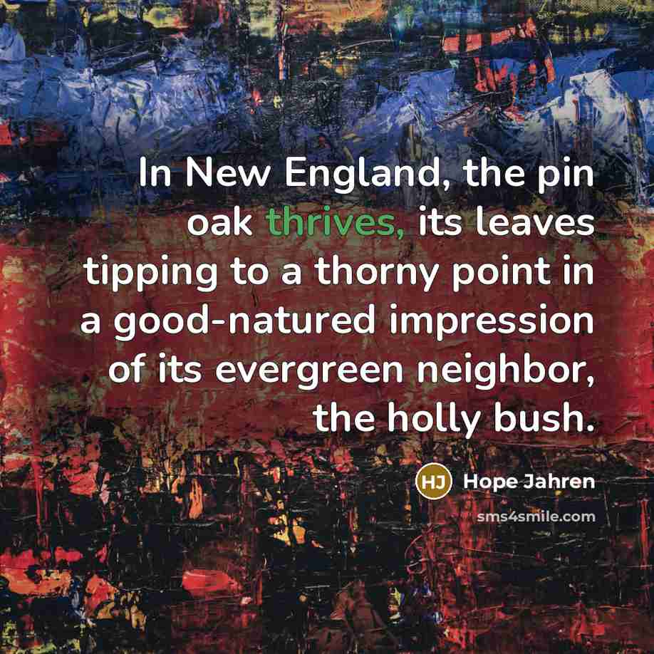 “In New England, the pin oak thrives, its leaves tipping…” quote by Hope Jahren