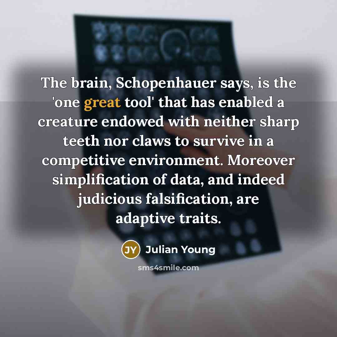 “The brain, Schopenhauer says, is the 'one great tool' that…” quote by Julian Young