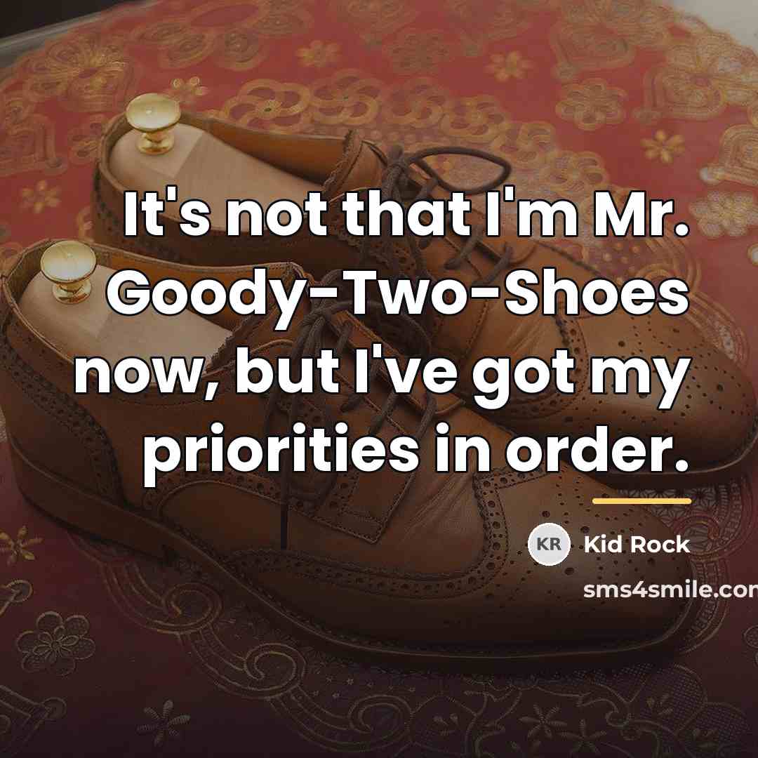 “It's not that I'm Mr. Goody-Two-Shoes now, but I've got…” quote by Kid Rock