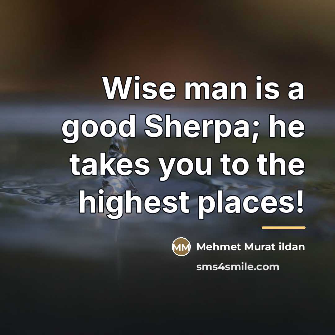 “Wise man is a good Sherpa; he takes you to…” quote by Mehmet Murat Ildan