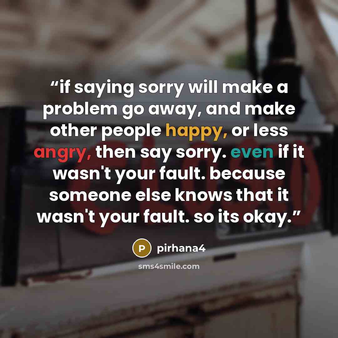 “if saying sorry will make a problem go away, and make other people happy, or less angry, then say sorry. even if it wasn't your fault. because someone else knows that it wasn't your fault. so its okay.” quote by pirhana4