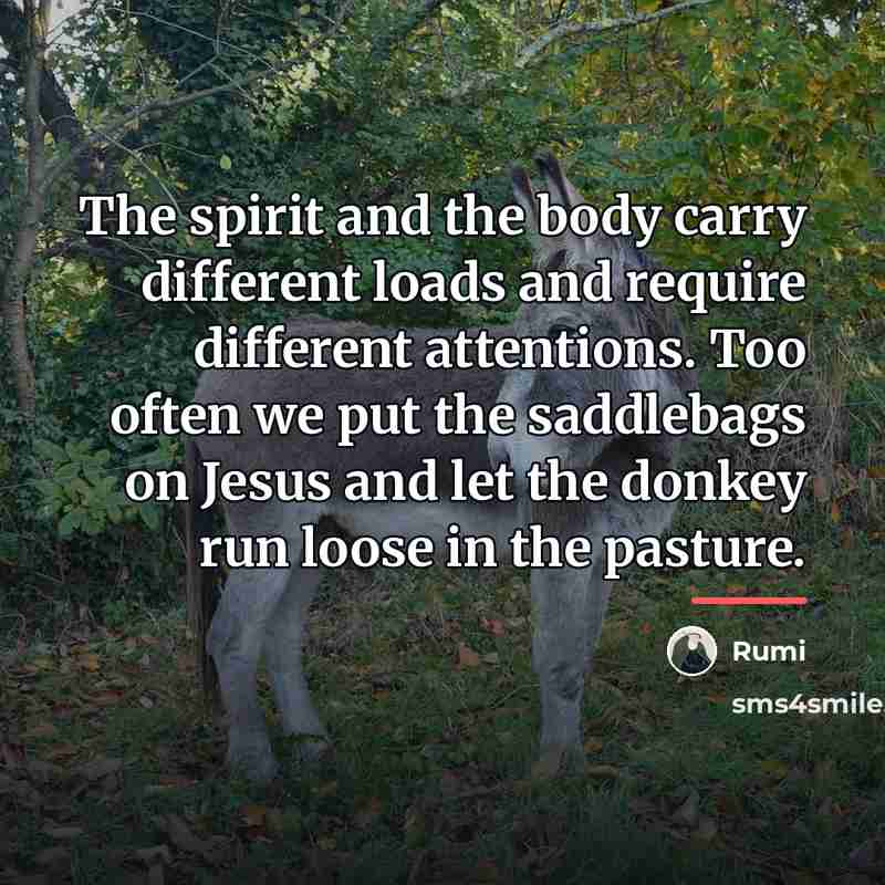 “The spirit and the body carry different loads and require…” quote by Rumi