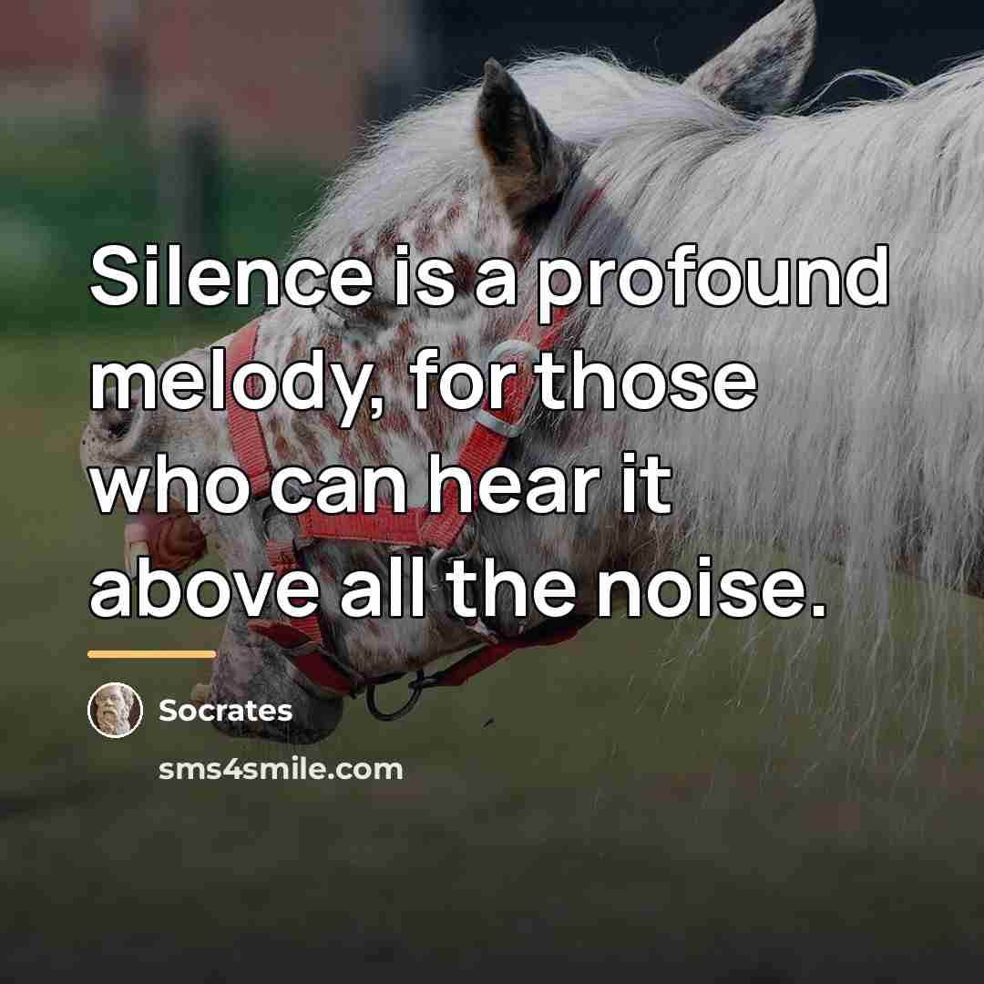 “Silence is a profound melody, for those who can hear…” quote by Socrates