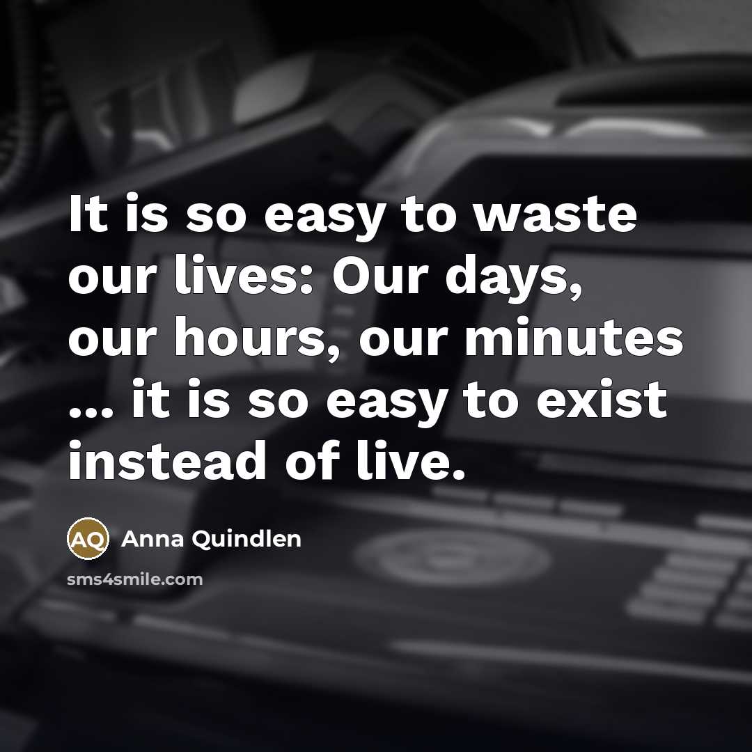 “It is so easy to waste our lives: Our days,…” quote by Anna Quindlen
