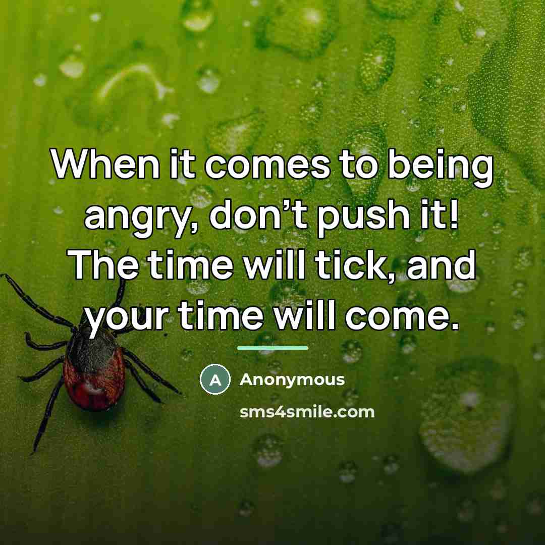 “When it comes to being angry, don't push it! The…” quote by Anonymous