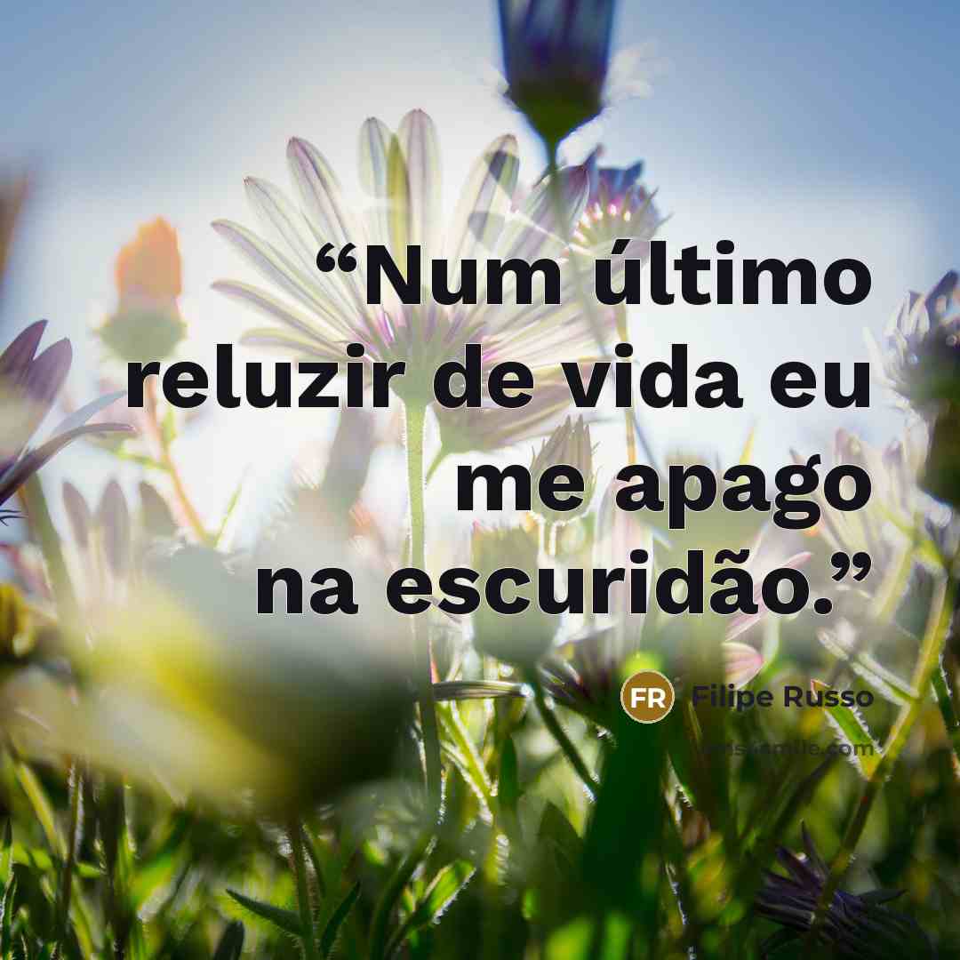 “Num último reluzir de vida eu me apago na escuridão.” quote by Filipe Russo