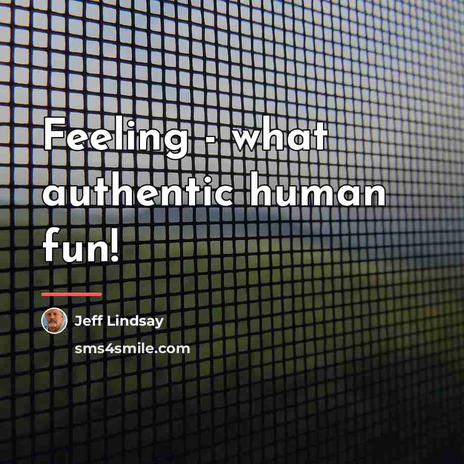 “Feeling - what authentic human fun!…” quote by Jeff Lindsay