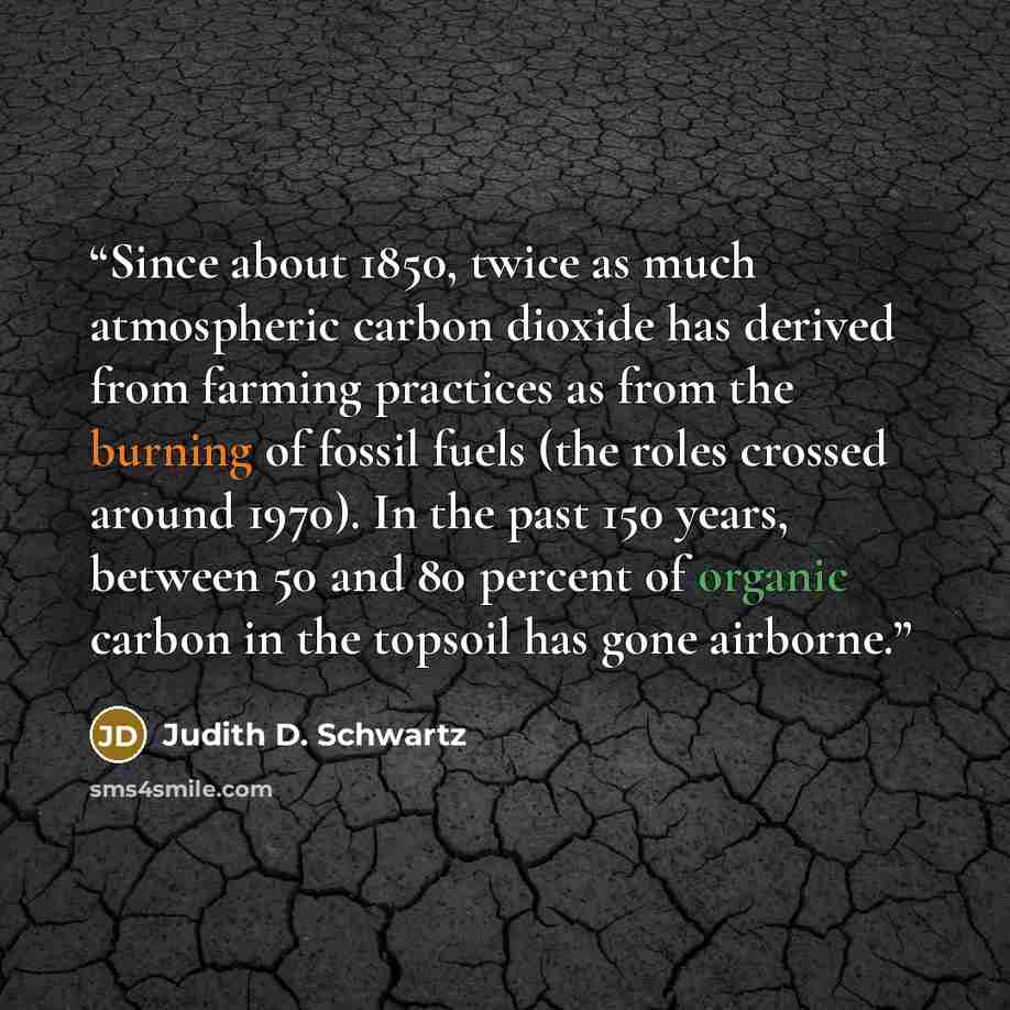 “Since about 1850, twice as much atmospheric carbon dioxide has derived from farming practices as from the burning of fossil fuels (the roles crossed around 1970). In the past 150 years, between 50 and 80 percent of organic carbon in the topsoil has gone airborne.” quote by Judith D. Schwartz