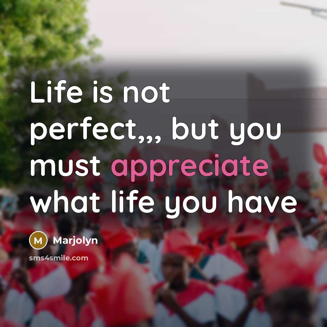 “Life is not perfect,,, but you must appreciate what life…” quote by Marjolyn