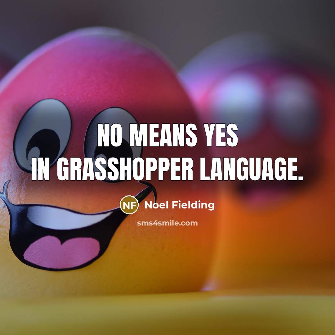 “No means yes in grasshopper language.” quote by Noel Fielding