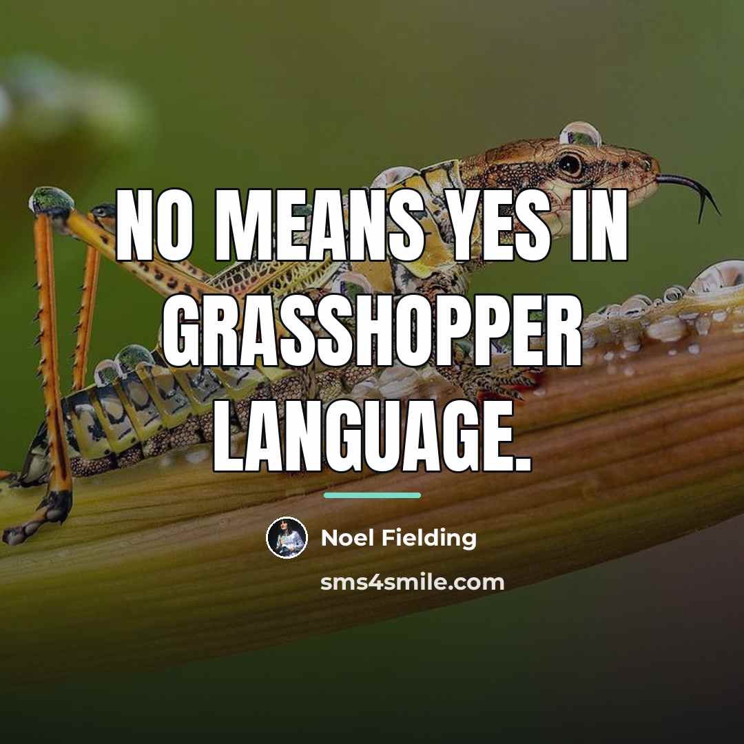 “No means yes in grasshopper language.…” quote by Noel Fielding