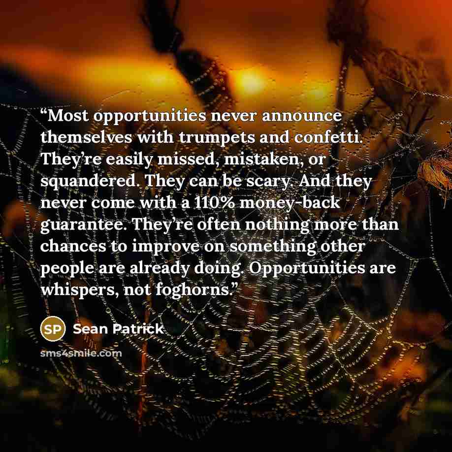 “Most opportunities never announce themselves with trumpets and confetti. They’re easily missed, mistaken, or squandered. They can be scary. And they never come with a 110% money-back guarantee. They’re often nothing more than chances to improve on something other people are already doing…” quote by Sean Patrick