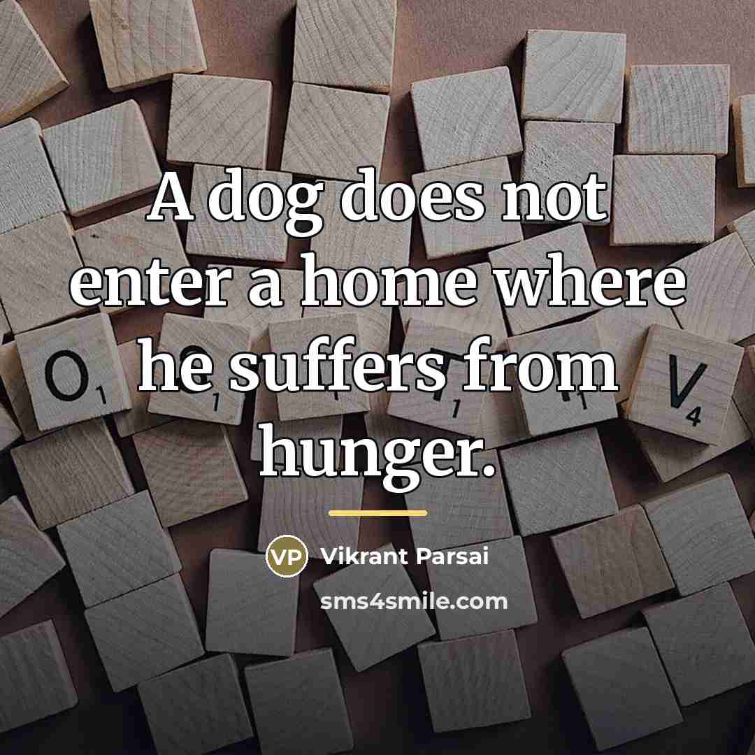 “A dog does not enter a home where he suffers…” quote by Vikrant Parsai