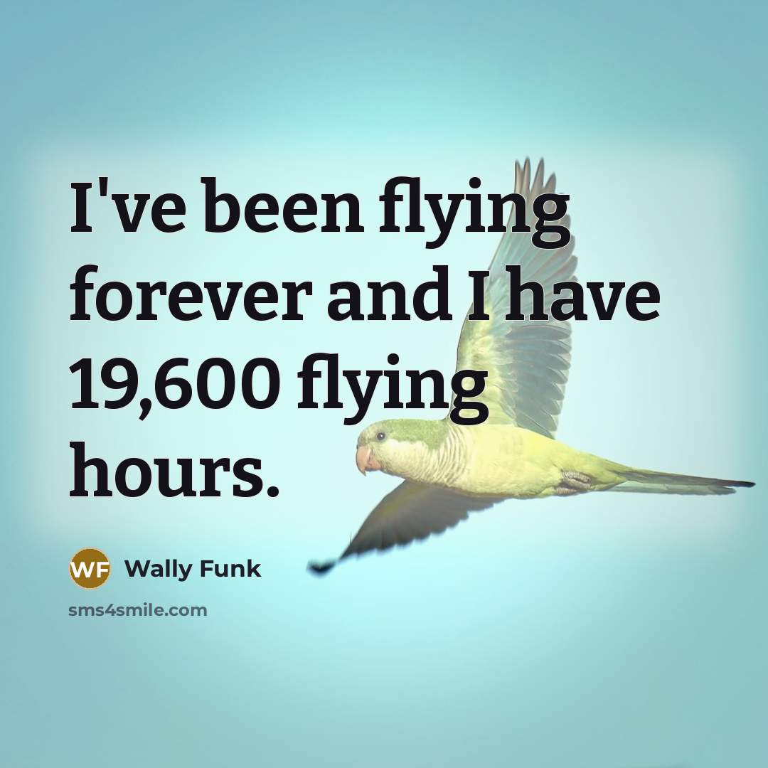 “I've been flying forever and I have 19,600 flying hours.…” quote by Wally Funk