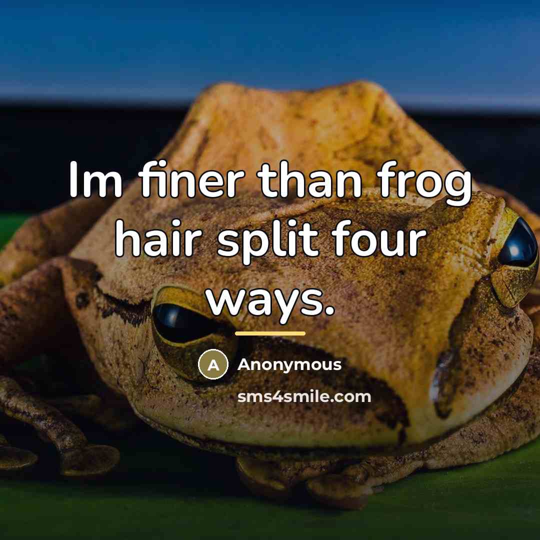 “Im finer than frog hair split four ways.…” quote by Anonymous