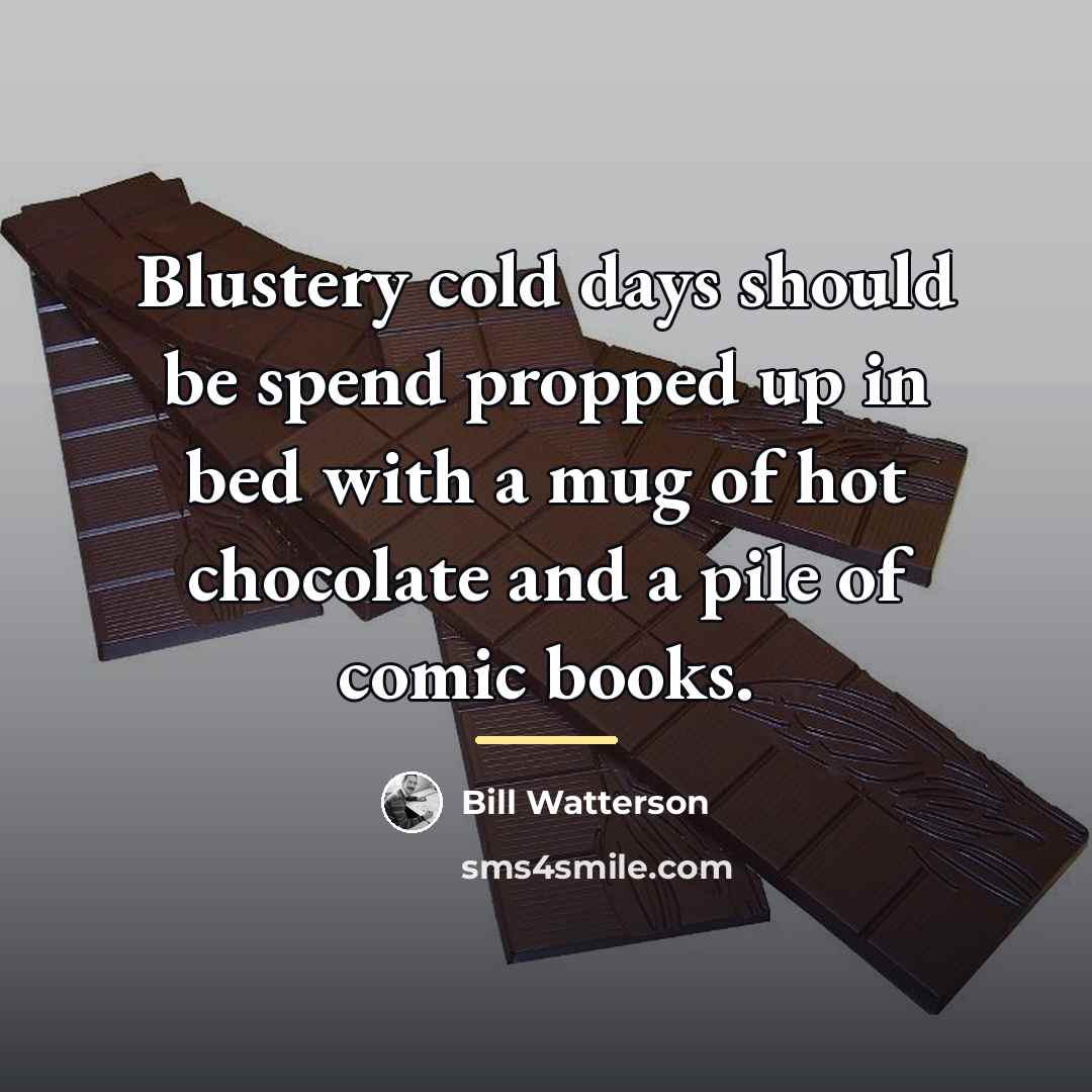 “Blustery cold days should be spend propped up in bed…” quote by Bill Watterson