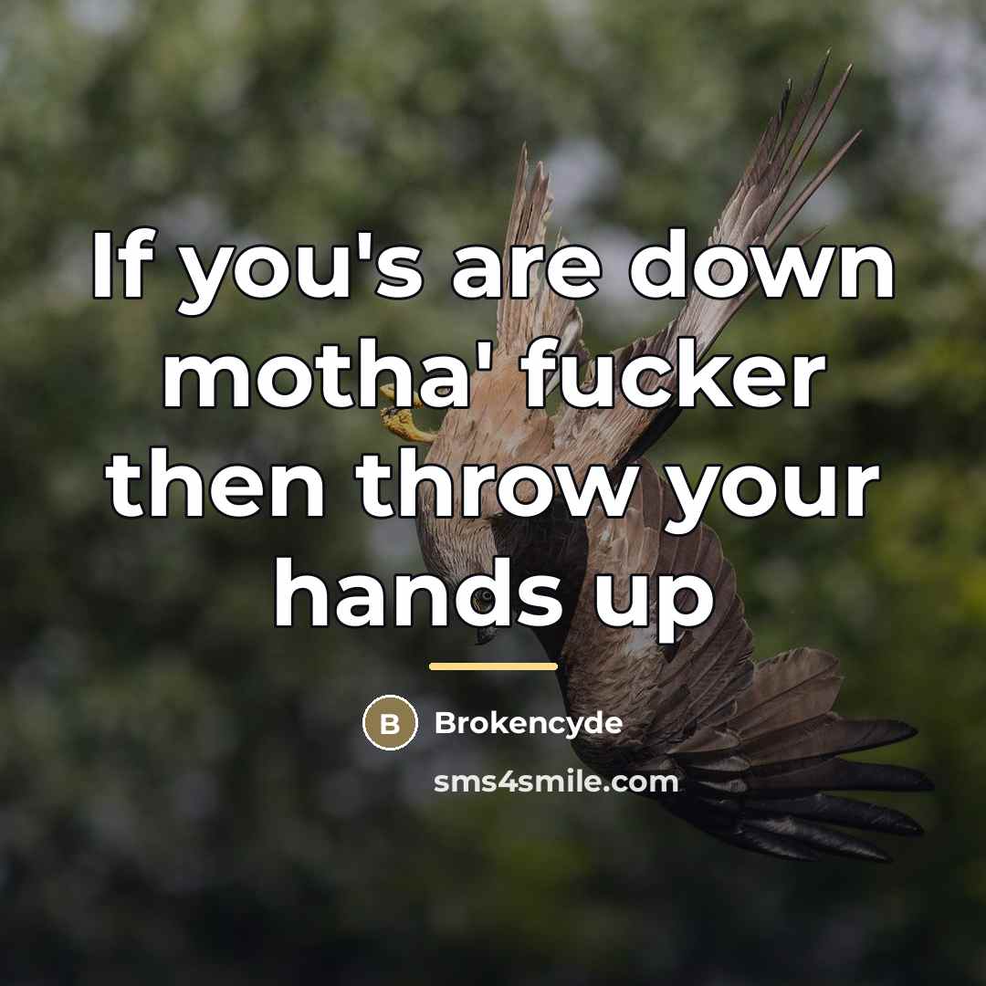 “If you's are down motha' fucker then throw your hands…” quote by Brokencyde