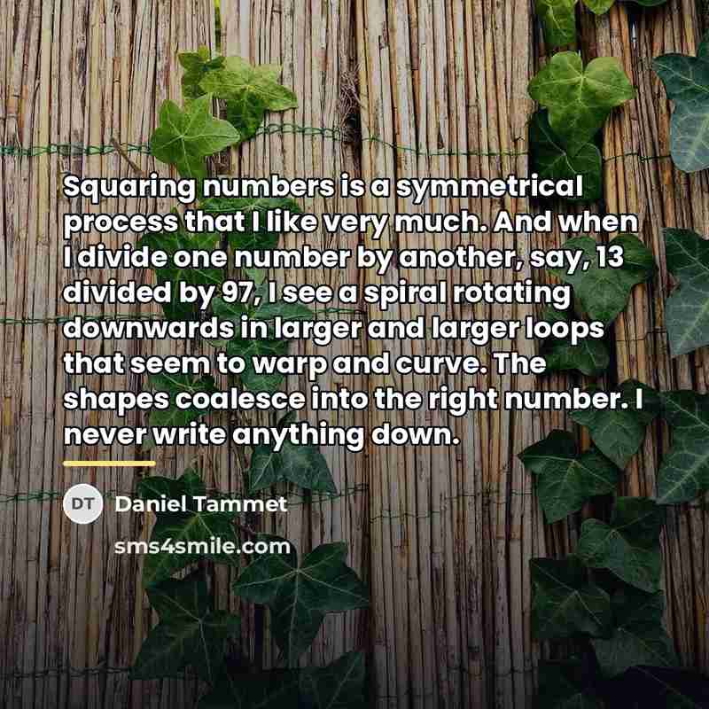 “Squaring numbers is a symmetrical process that I like very…” quote by Daniel Tammet