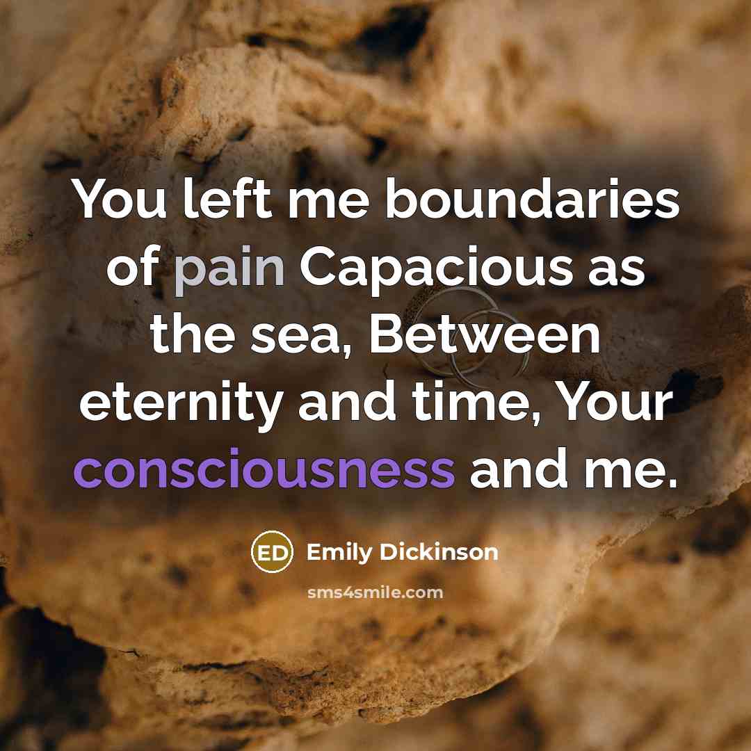 “You left me boundaries of pain Capacious as the sea,…” quote by Emily Dickinson