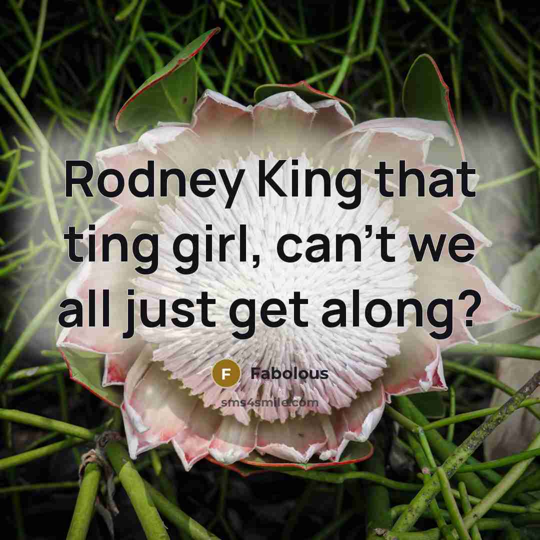 “Rodney King that ting girl, can't we all just get along?” quote by Fabolous