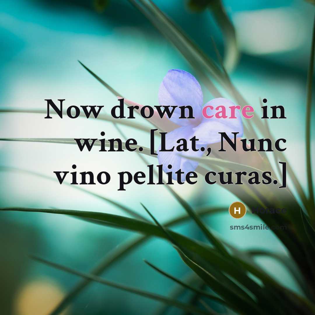 “Now drown care in wine. [Lat., Nunc vino pellite curas.]…” quote by Horace