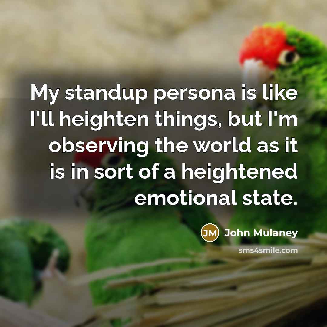 “My standup persona is like I'll heighten things, but I'm…” quote by John Mulaney