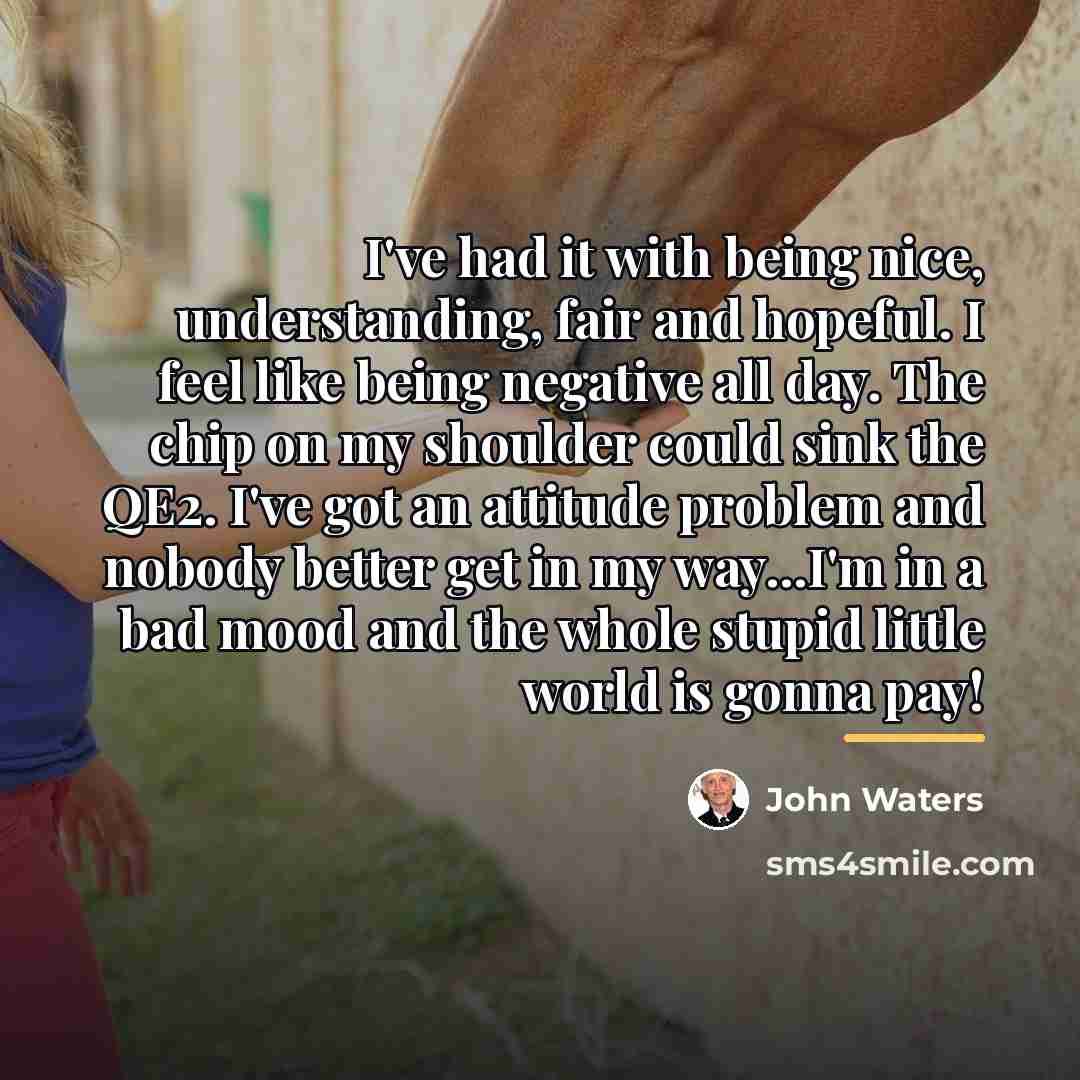 “I've had it with being nice, understanding, fair and hopeful.…” quote by John Waters
