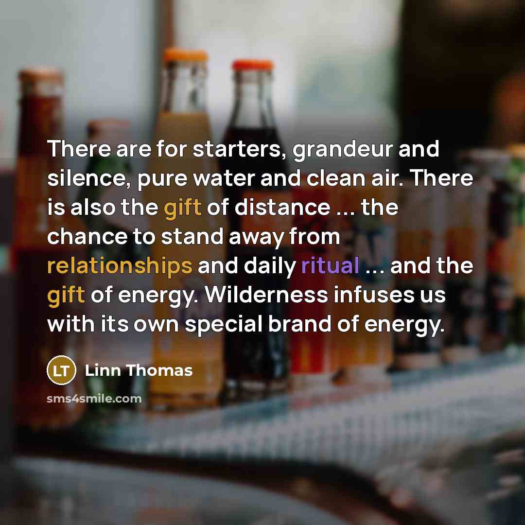 “There are for starters, grandeur and silence, pure water and clean air. There is also the gift of distance ... the chance to stand away from relationships and daily ritual ... and the gift of energy. Wilderness infuses us with its own special brand of energy.” quote by Linn Thomas
