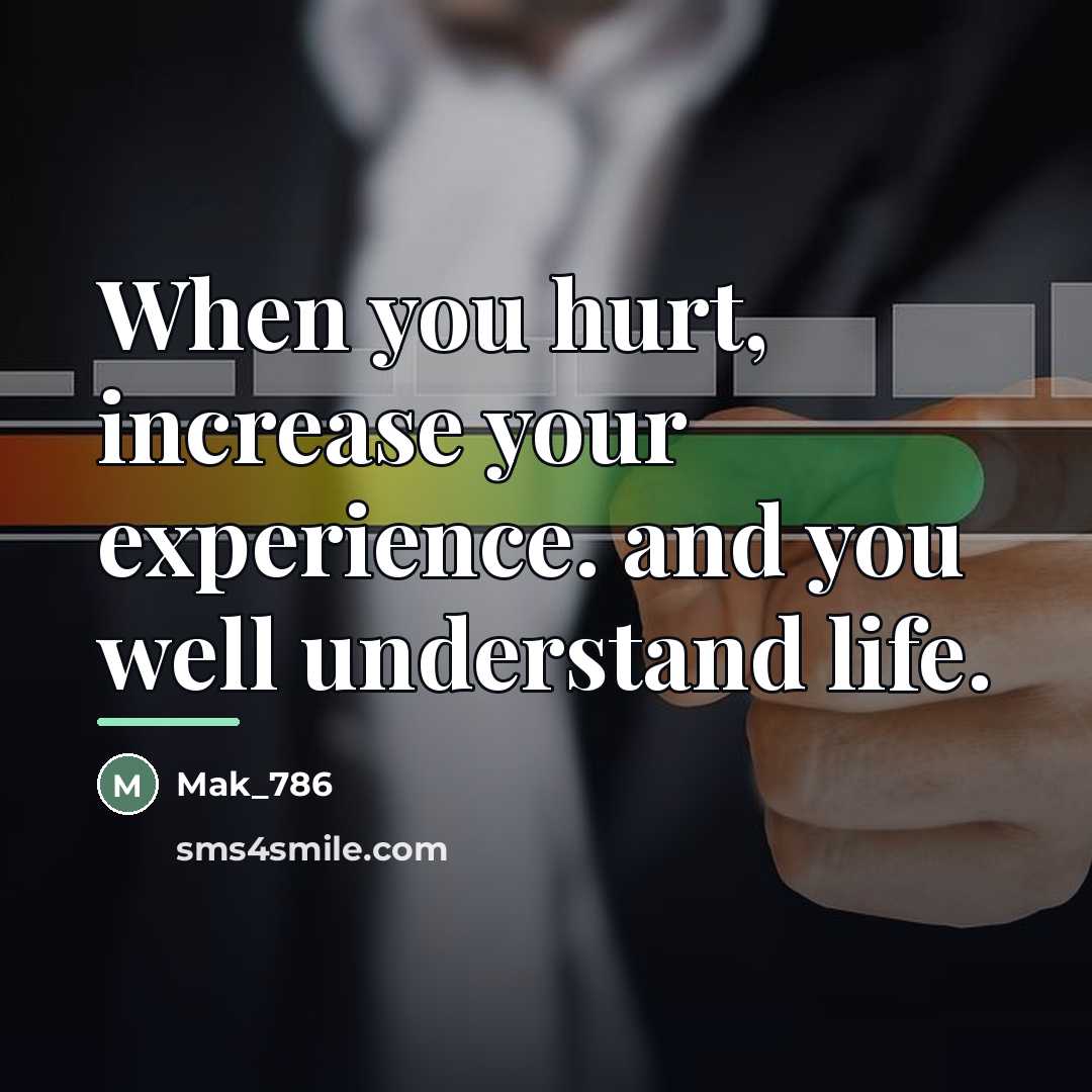 “When you hurt, increase your experience. and you well understand…” quote by Mak_786