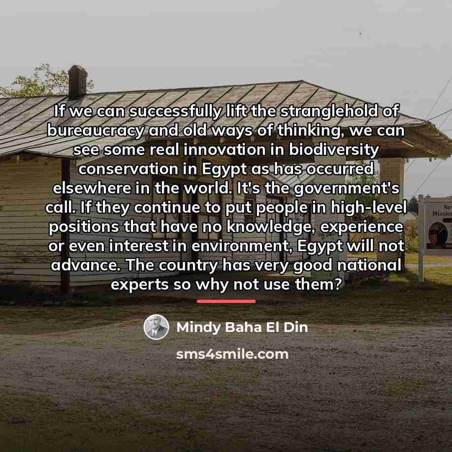 “If we can successfully lift the stranglehold of bureaucracy and…” quote by Mindy Baha El Din