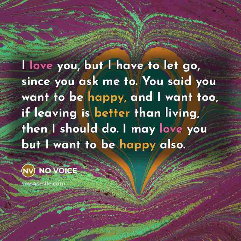 “I love you, but I have to let go, since…” quote by NO VOICE