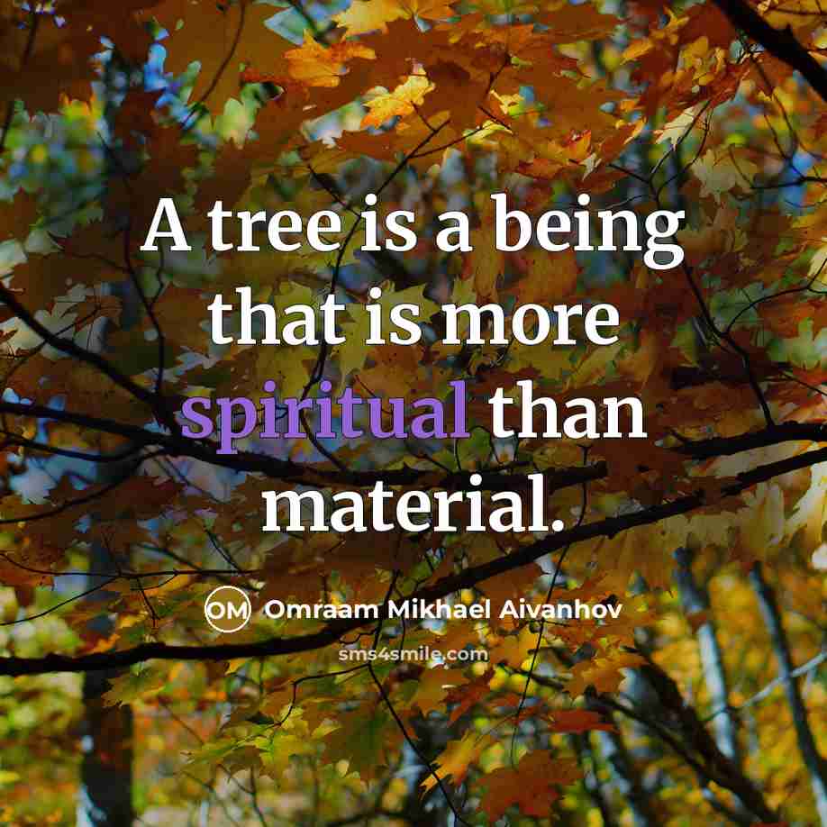 “A tree is a being that is more spiritual than…” quote by Omraam Mikhael Aivanhov