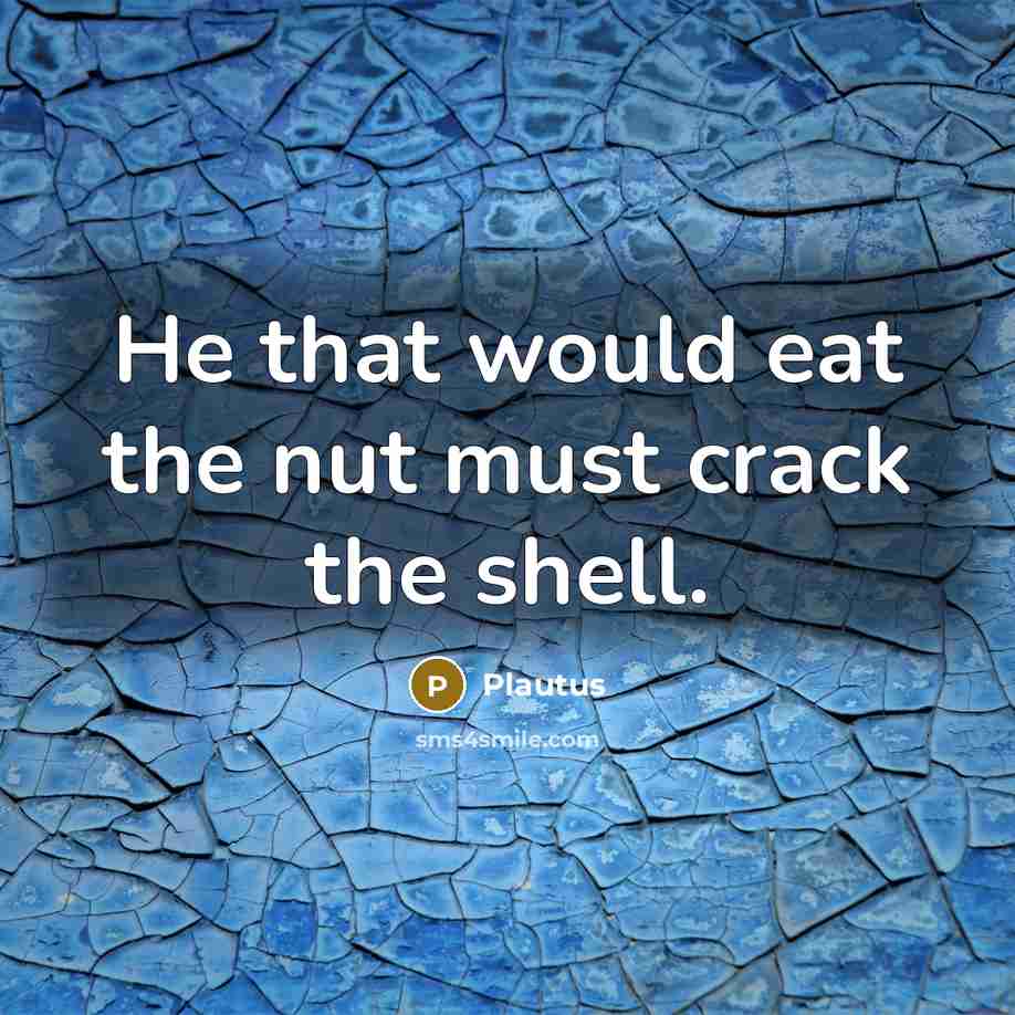 “He that would eat the nut must crack the shell.…” quote by Plautus