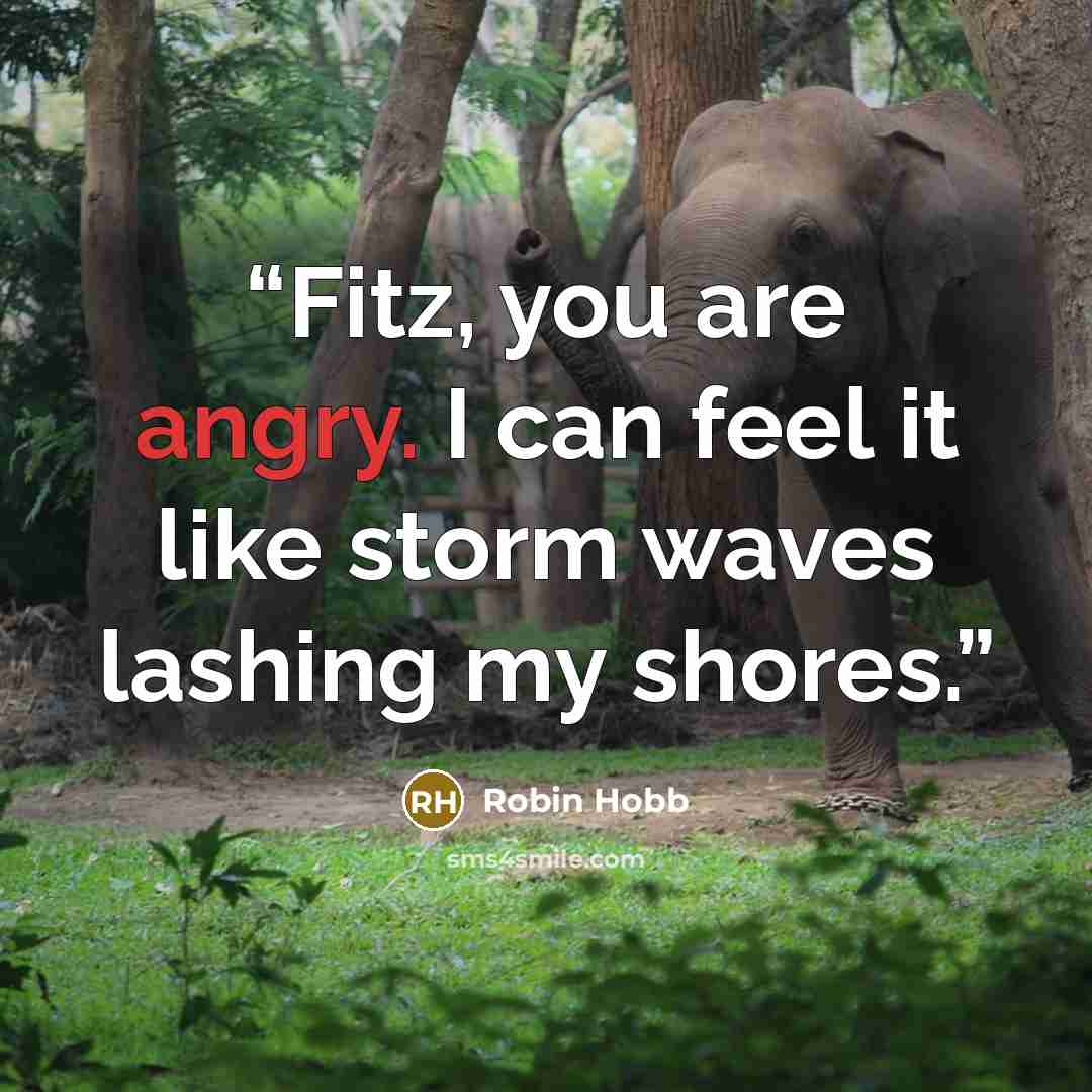 “Fitz, you are angry. I can feel it like storm waves lashing my shores.” quote by Robin Hobb