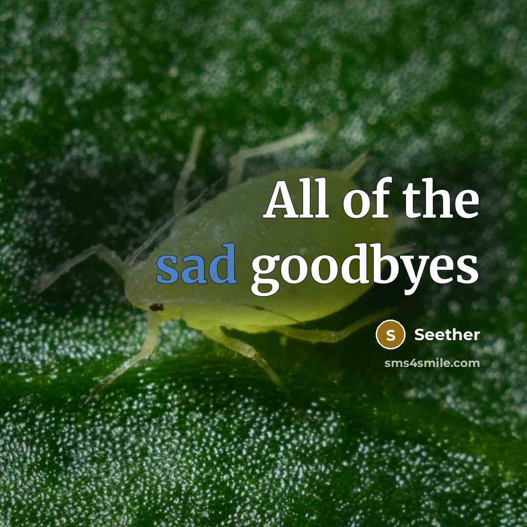 “All of the sad goodbyes” quote by Seether