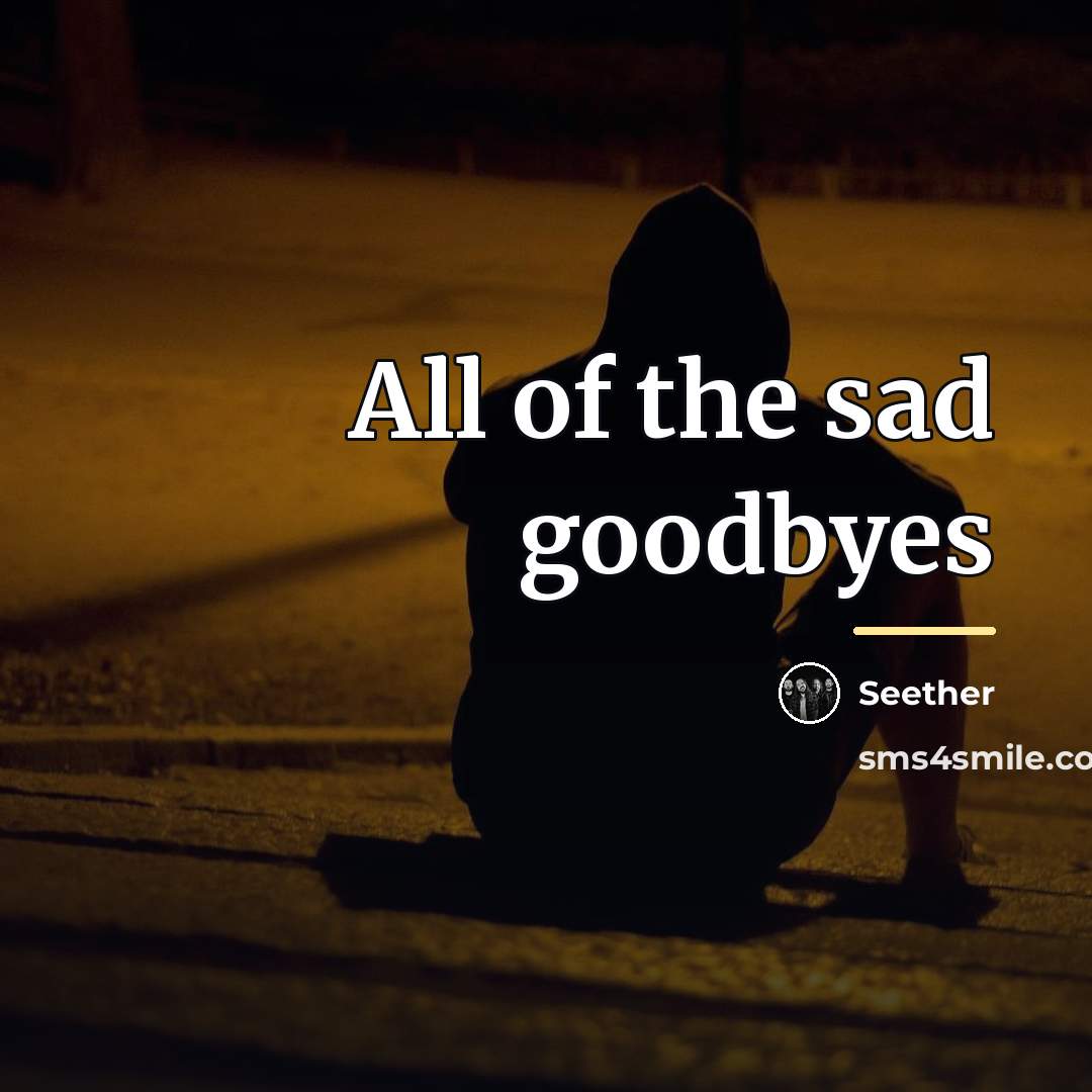 “All of the sad goodbyes…” quote by Seether
