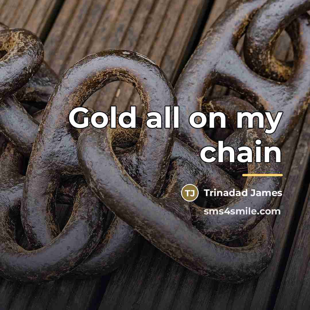 “Gold all on my chain…” quote by Trinadad James