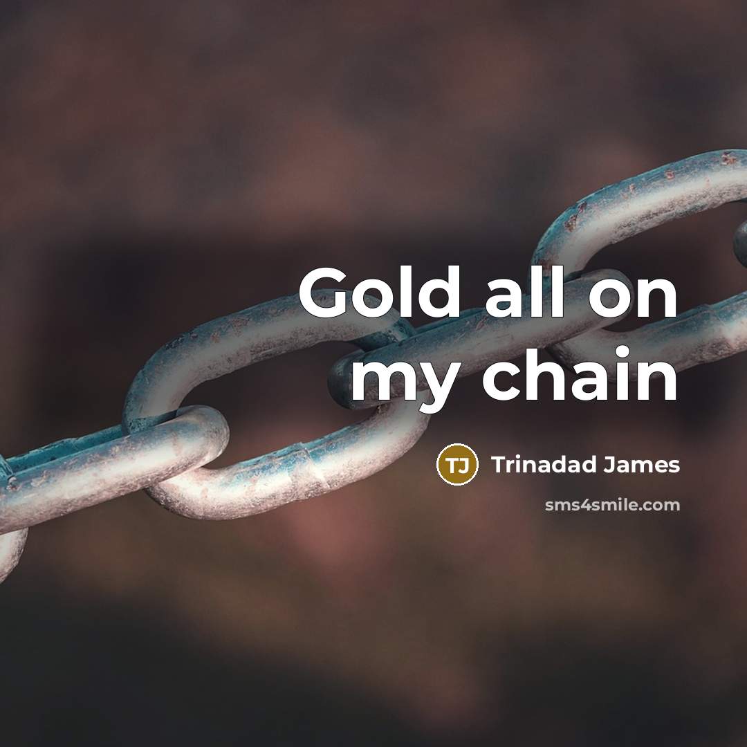 “Gold all on my chain” quote by Trinadad James