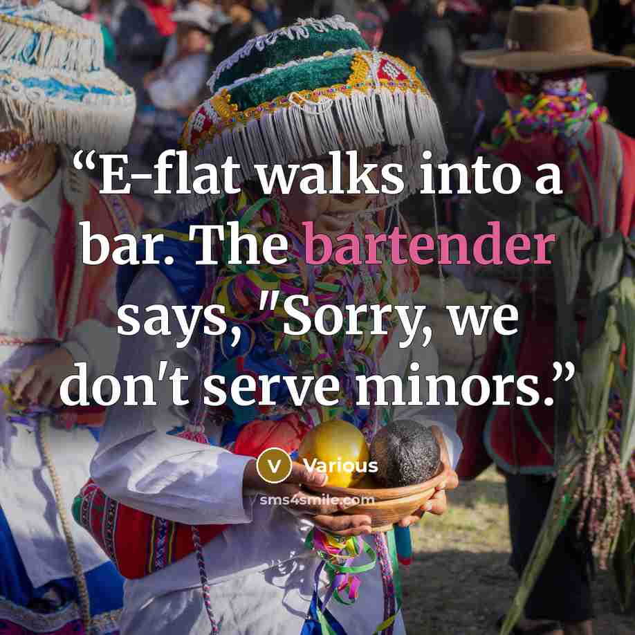 “E-flat walks into a bar. The bartender says, "Sorry, we don't serve minors.” quote by Various