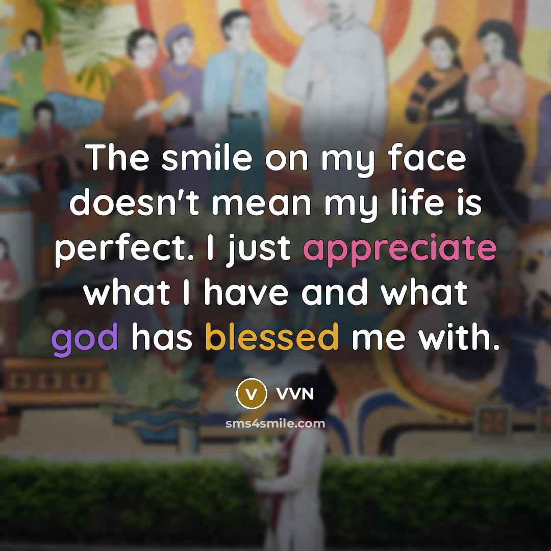 “The smile on my face doesn't mean my life is…” quote by VVN