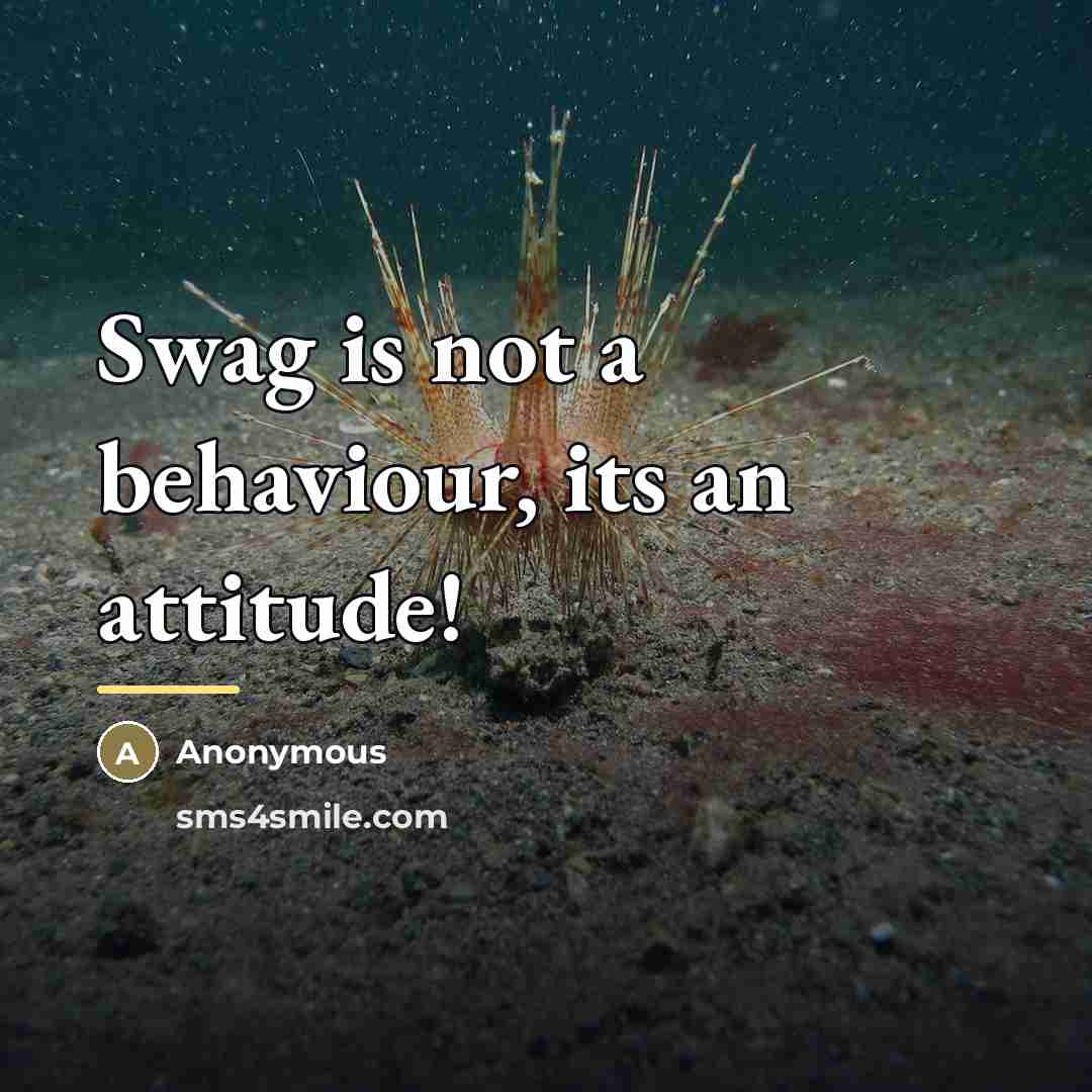 “Swag is not a behaviour, its an attitude!…” quote by Anonymous