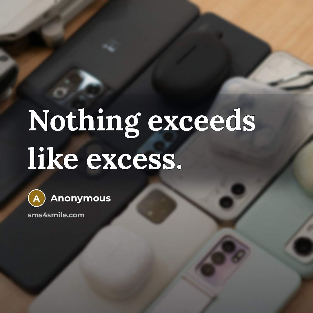 “Nothing exceeds like excess.” quote by Anonymous