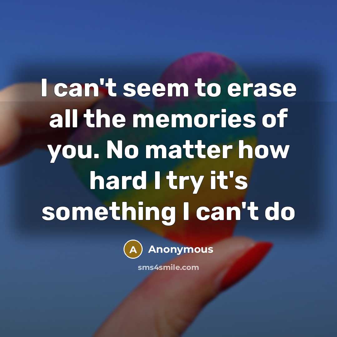 “I can't seem to erase all the memories of you.…” quote by Anonymous